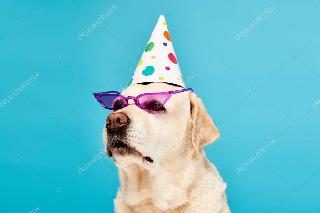 Fotobox mit Thermo-Drucker